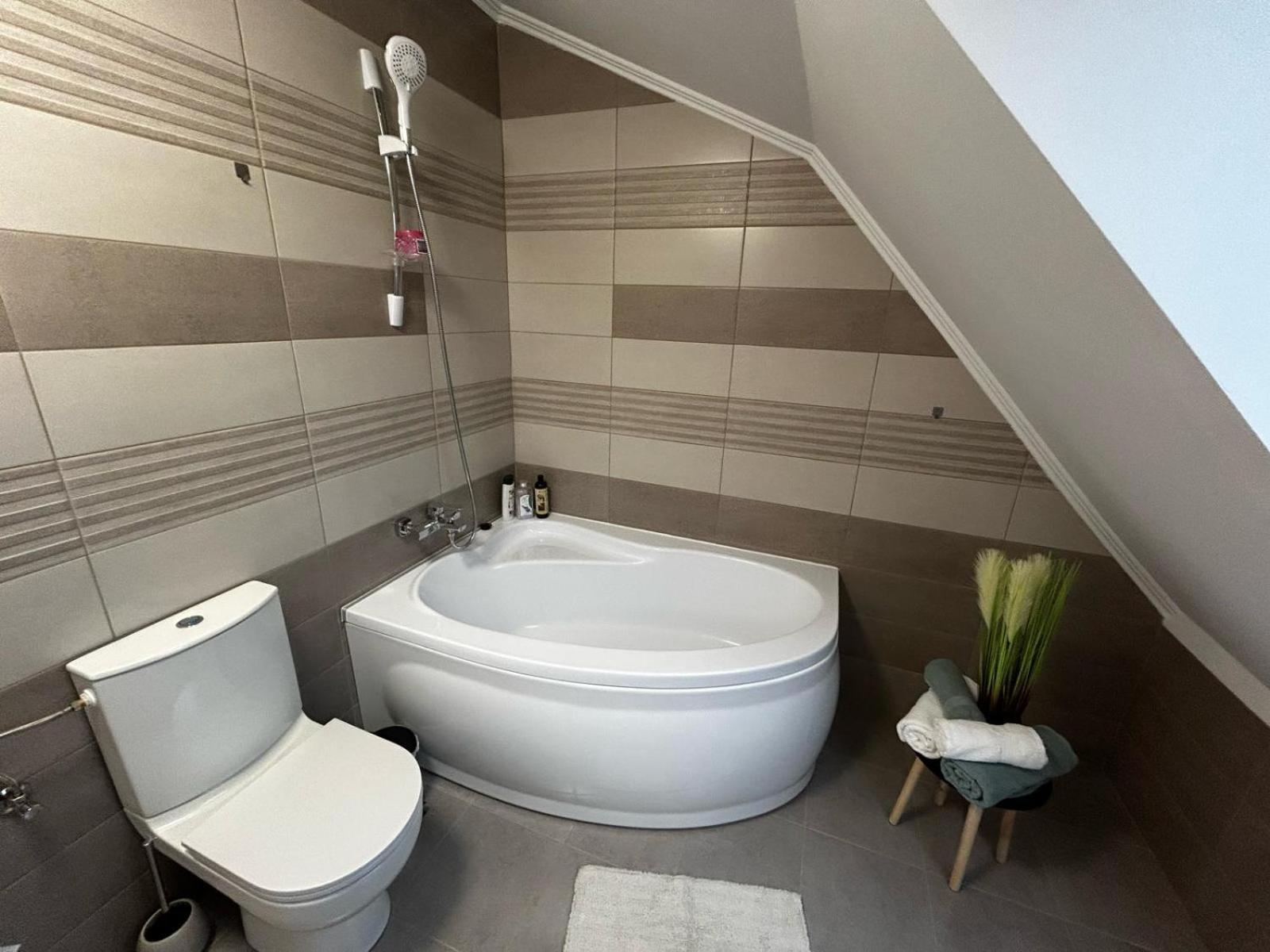 D&M Apartments 2 Satu Mare Zewnętrze zdjęcie